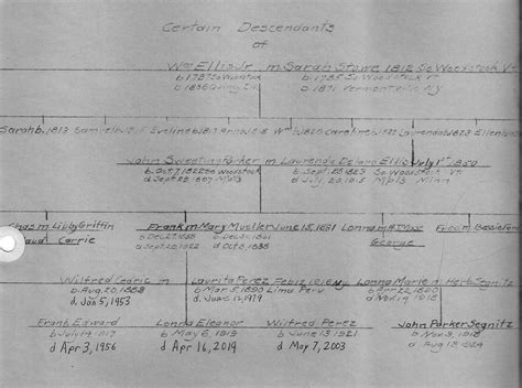 chanel cleeton interview|Chanel cleeton perez family tree.